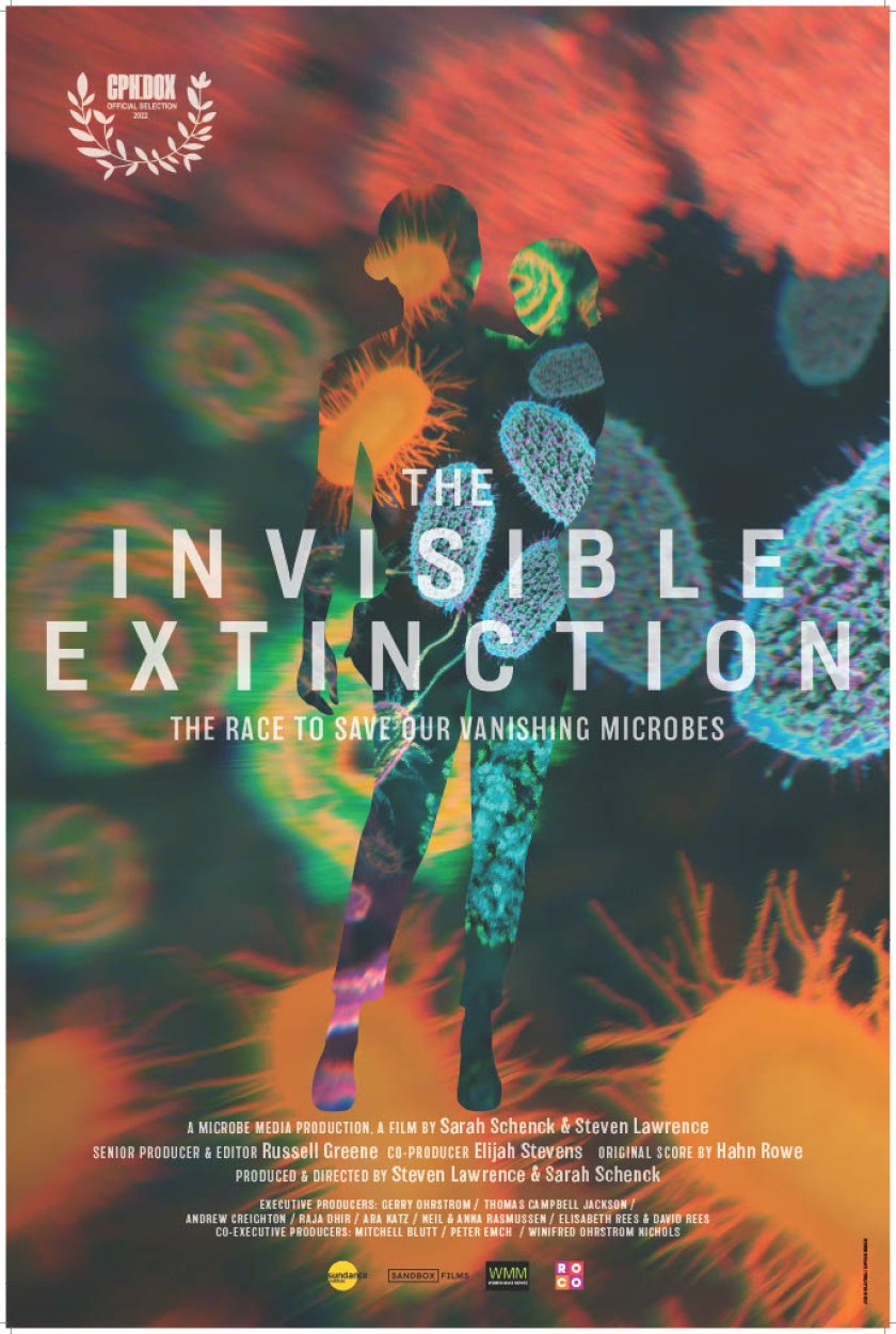 Poster invisible extinction