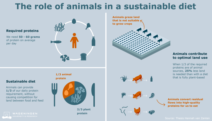 Infographic role of animals in a sustainable diet_UK.png